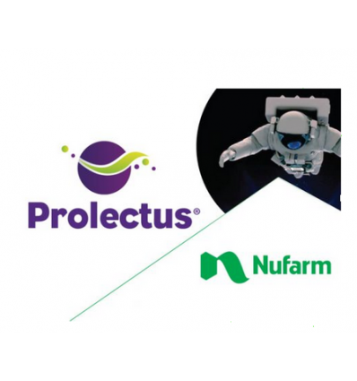 Prolectus