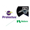 Prolectus
