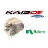 Kaiso Sorbie