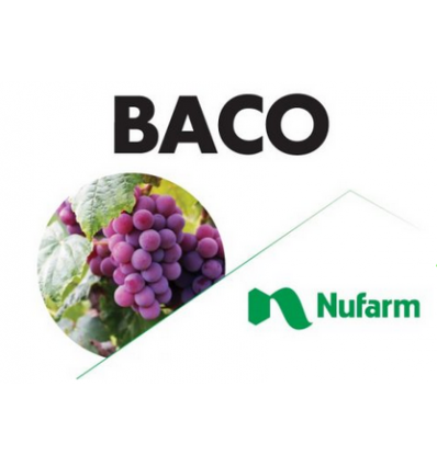 Baco WG
