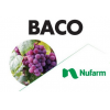 Baco WG