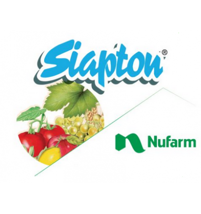 Siapton