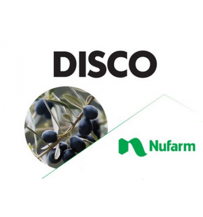 Disco
