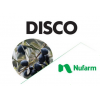 Disco