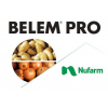 Belem Pro