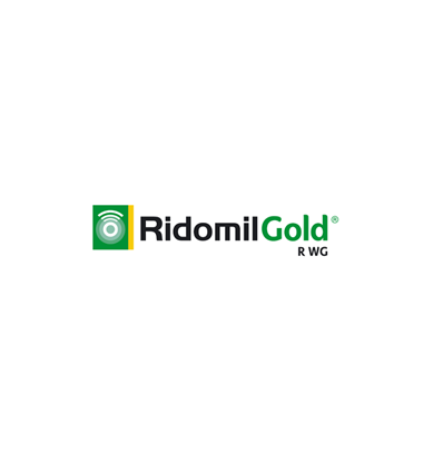 Ridomil Gold R