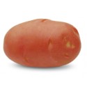 <br /> <b>Notice</b>: Trying to get property of non-object in <b>/home/bricomac/casamariomachado.pt/tools/smarty/sysplugins/smarty_internal_templatebase.php(157) : eval()'d code</b> on line <b>198</b><br /> 