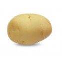 <br /> <b>Notice</b>: Trying to get property of non-object in <b>/home/bricomac/casamariomachado.pt/tools/smarty/sysplugins/smarty_internal_templatebase.php(157) : eval()'d code</b> on line <b>198</b><br /> 