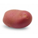 <br /> <b>Notice</b>: Trying to get property of non-object in <b>/home/bricomac/casamariomachado.pt/tools/smarty/sysplugins/smarty_internal_templatebase.php(157) : eval()'d code</b> on line <b>198</b><br /> 