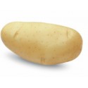 <br /> <b>Notice</b>: Trying to get property of non-object in <b>/home/bricomac/casamariomachado.pt/tools/smarty/sysplugins/smarty_internal_templatebase.php(157) : eval()'d code</b> on line <b>198</b><br /> 