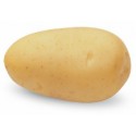<br /> <b>Notice</b>: Trying to get property of non-object in <b>/home/bricomac/casamariomachado.pt/tools/smarty/sysplugins/smarty_internal_templatebase.php(157) : eval()'d code</b> on line <b>198</b><br /> 