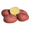 <br /> <b>Notice</b>: Trying to get property of non-object in <b>/home/bricomac/casamariomachado.pt/tools/smarty/sysplugins/smarty_internal_templatebase.php(157) : eval()'d code</b> on line <b>198</b><br /> 