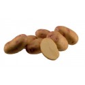 <br /> <b>Notice</b>: Trying to get property of non-object in <b>/home/bricomac/casamariomachado.pt/tools/smarty/sysplugins/smarty_internal_templatebase.php(157) : eval()'d code</b> on line <b>198</b><br /> 