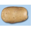 <br /> <b>Notice</b>: Trying to get property of non-object in <b>/home/bricomac/casamariomachado.pt/tools/smarty/sysplugins/smarty_internal_templatebase.php(157) : eval()'d code</b> on line <b>198</b><br /> 